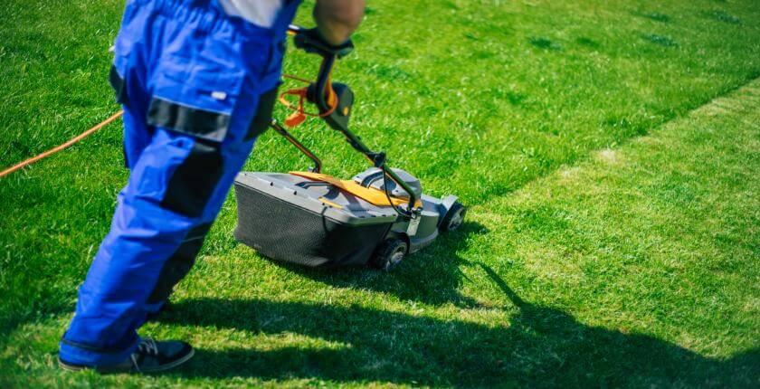 Football pitch Cleaning